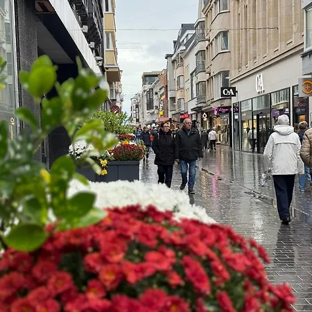 아파트 De Strandmelde, Met Groot Terras En Gratis Parking Nabij Zee