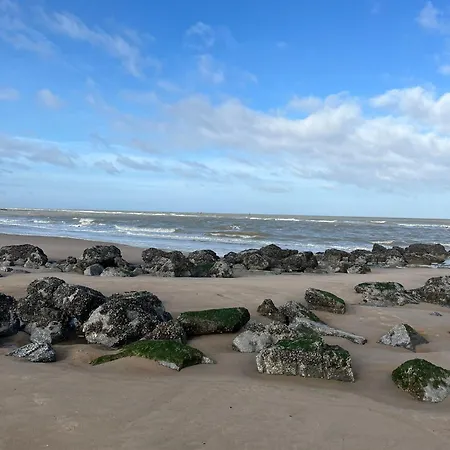 De Strandmelde, Met Groot Terras En Gratis Parking Nabij Zee 오스텐드