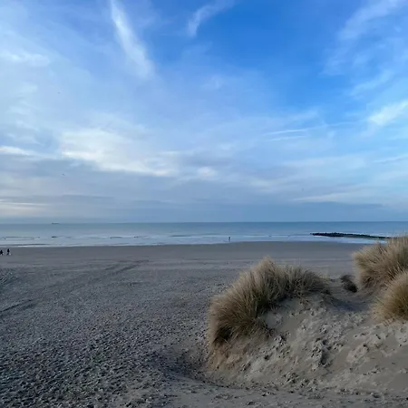 De Strandmelde, Met Groot Terras En Gratis Parking Nabij Zee 아파트
