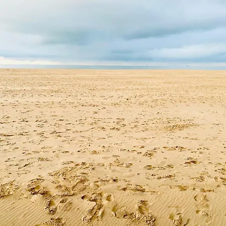 De Strandmelde, Met Groot Terras En Gratis Parking Nabij Zee 아파트